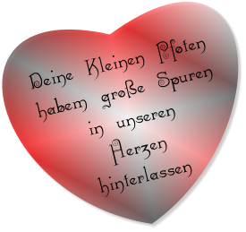 Deine Kleinen Pfoten habem große Spuren in unseren Herzen hinterlassen